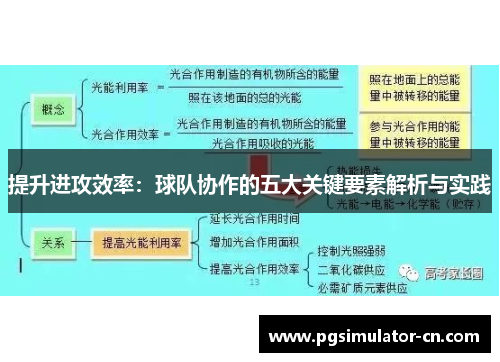 提升进攻效率：球队协作的五大关键要素解析与实践