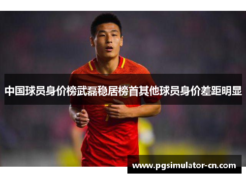 中国球员身价榜武磊稳居榜首其他球员身价差距明显