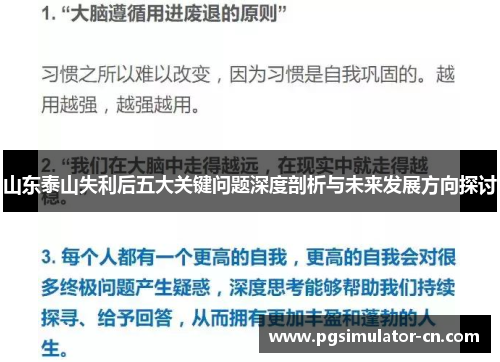 山东泰山失利后五大关键问题深度剖析与未来发展方向探讨