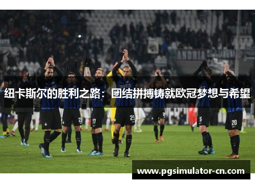 纽卡斯尔的胜利之路：团结拼搏铸就欧冠梦想与希望
