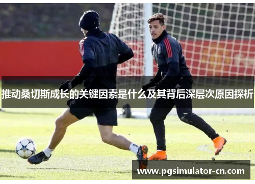 推动桑切斯成长的关键因素是什么及其背后深层次原因探析